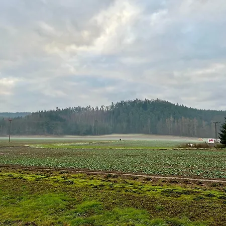 Appartamento Gemuetliche Gaestewohnung Waldblick Laasdorf