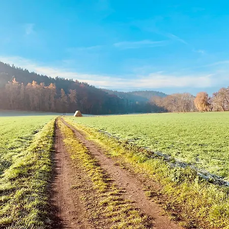Gemuetliche Gaestewohnung Waldblick Appartamento Laasdorf