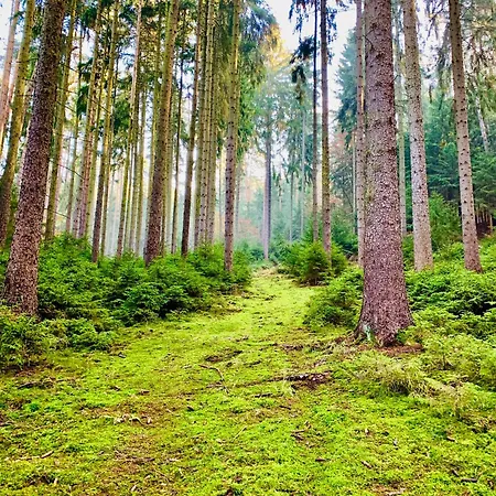 Gemuetliche Gaestewohnung Waldblick *