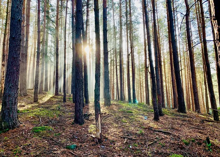 Gemuetliche Gaestewohnung In Mit Pool *
