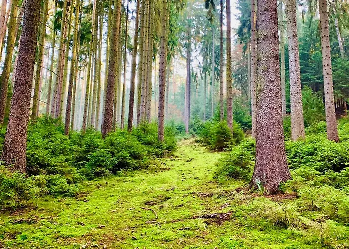 Gemuetliche Gaestewohnung In Mit Pool *